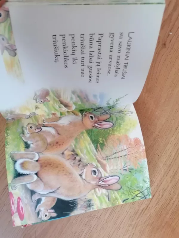 Apie gyvūnus. Mažųjų skaitiniai - Alfonsas Zdanavičius, knyga 4