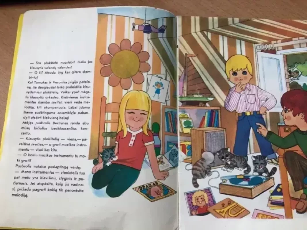 Tomukas ir muzikos instrumentai - Žeraras Gre, Alenas  Gre, knyga 4