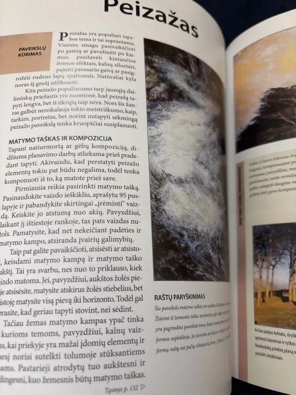 Pastelės mokykla - Hazel Harrison, knyga 6