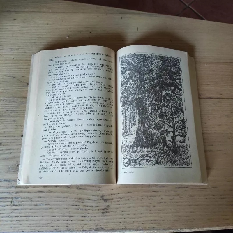 Bembis. Bembio vaikai - Feliksas Zaltenas, knyga 4