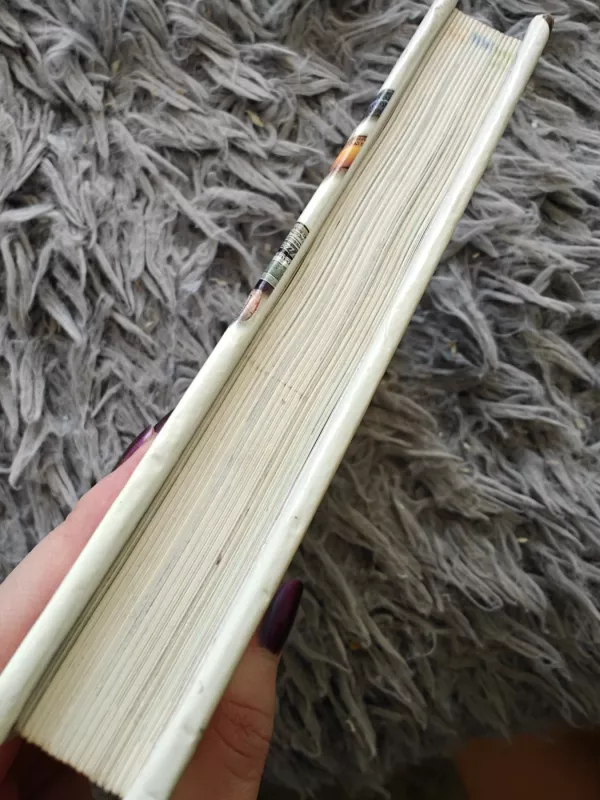 Mažoji dailės enciklopedija - Aušra Karsokienė, knyga 3