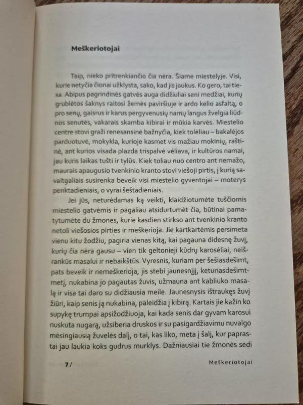 Lietaus dievas ir kiti (novelės) - Alvydas Šlepikas, knyga 4