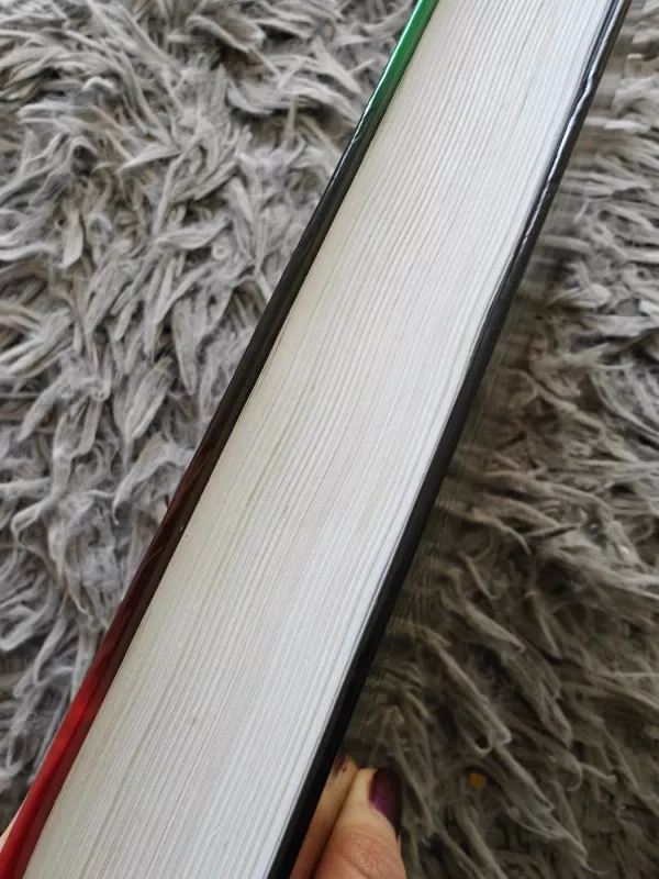 Puikus vadovas. Žlugęs vadovas - Ray Immelman, knyga 3