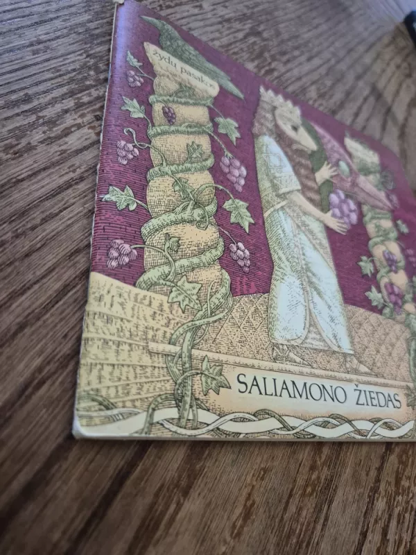 Saliamono žiedas: žydų pasakos ir legendos - Autorių Kolektyvas, knyga 3