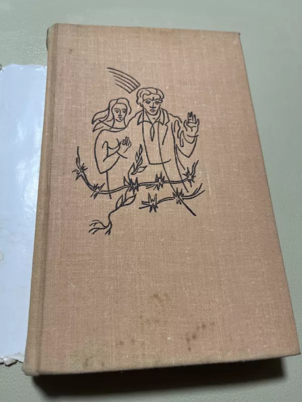 Sodybų tuštėjimo metas - Jonas Avyžius, knyga 2