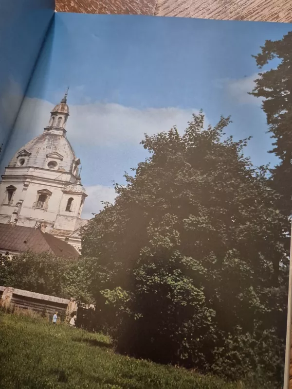 Atgimę paminklai - Autorių Kolektyvas, knyga 6