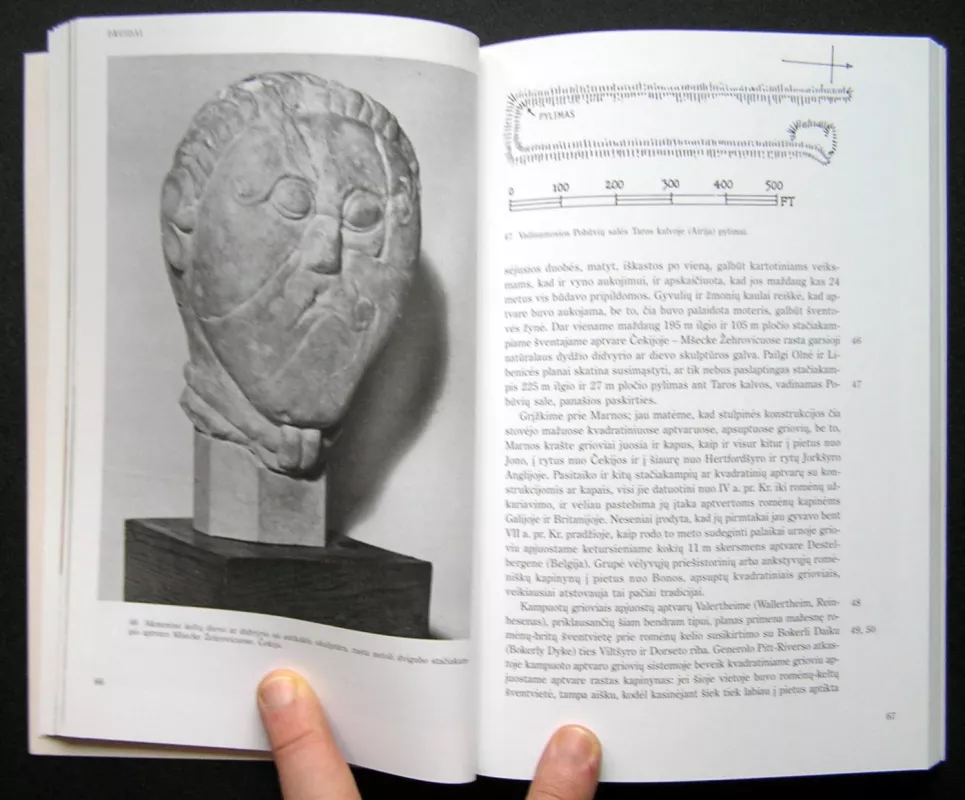 Druidai - Stuart Piggott, knyga 3