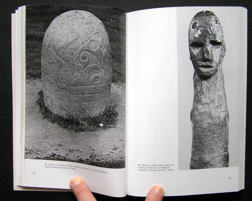 Druidai - Stuart Piggott, knyga 4