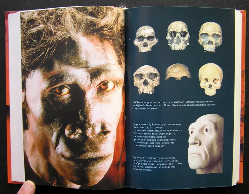 Išvarymas iš Edeno: demografinio sprogimo kronikos (knyga rusų kalba) - Stephen Oppenheimer, knyga 6