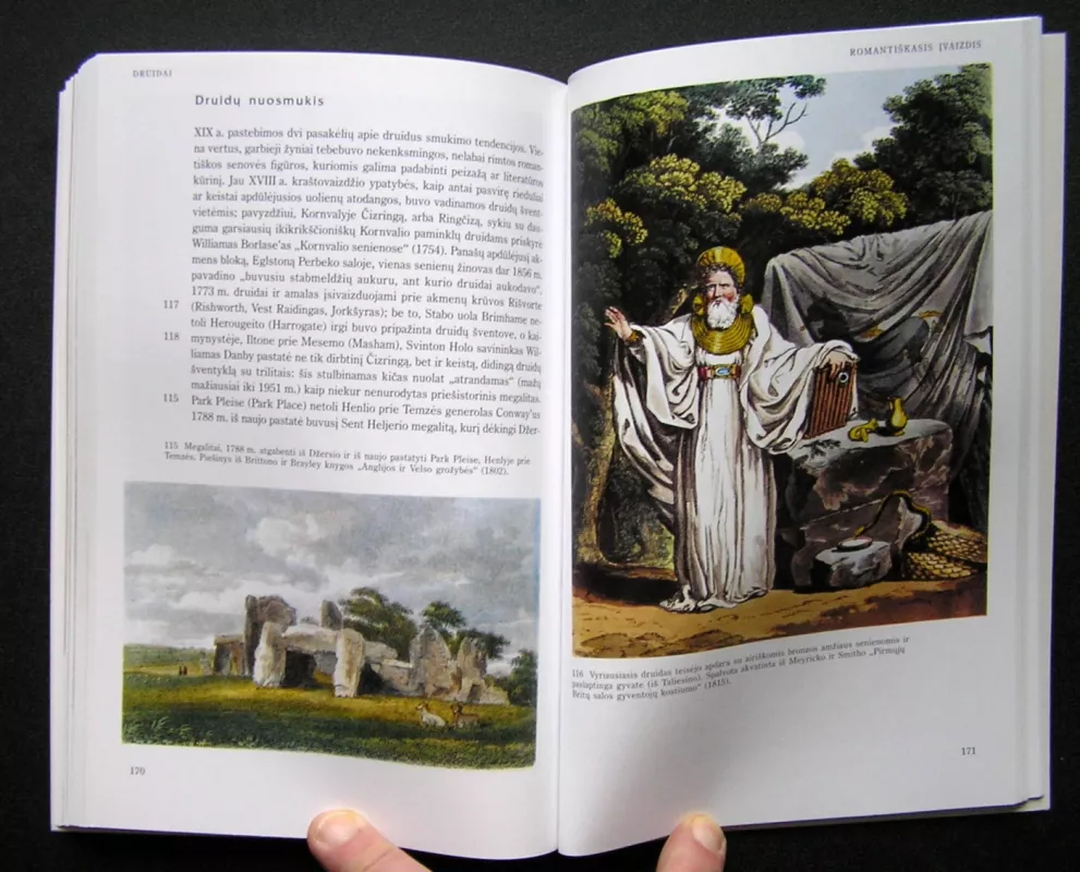 Druidai - Stuart Piggott, knyga 5