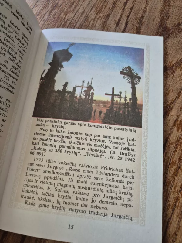 Kryžių kalnas. Paslaptys legendos padavimai - Vilius Puronas, knyga 5