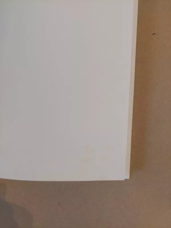 Feng Shui - Karola Berger, knyga 3