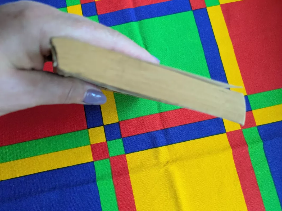 Juodasis Obeliskas - Erichas Marija, knyga 6