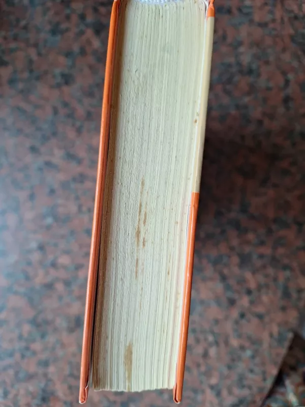 Ramzis Milijonų metų šventykla - Christian Jacq, knyga 5