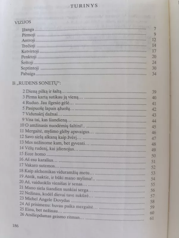 Poezija (Į pagalbą mokiniui). - Vytautas Mačernis, knyga 4