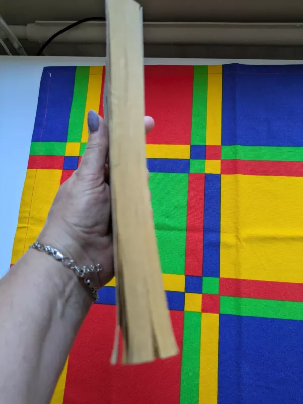 Juodasis Obeliskas - Erichas Marija, knyga 4