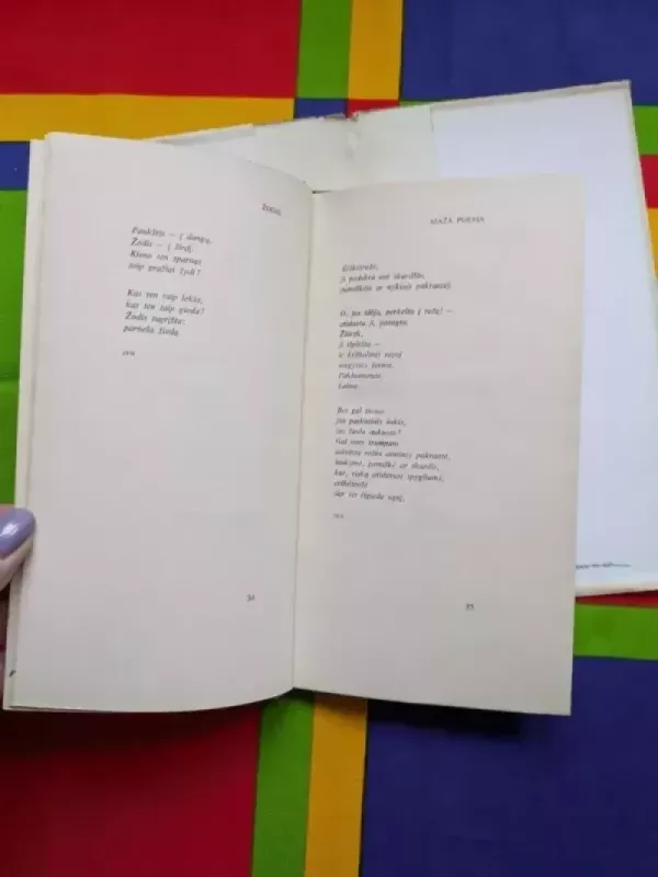 Dienoraštis be datų - Justinas Marcinkevičius, knyga 5