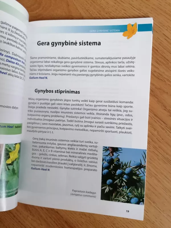 Modernioji homeopatija. Praktiniai patarimai - Autorių Kolektyvas, knyga 6