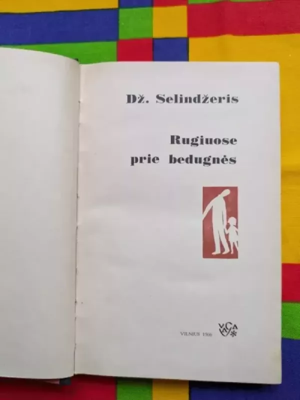Rugiuose prie bedugnės - Džeromas Selindžeris, knyga 4