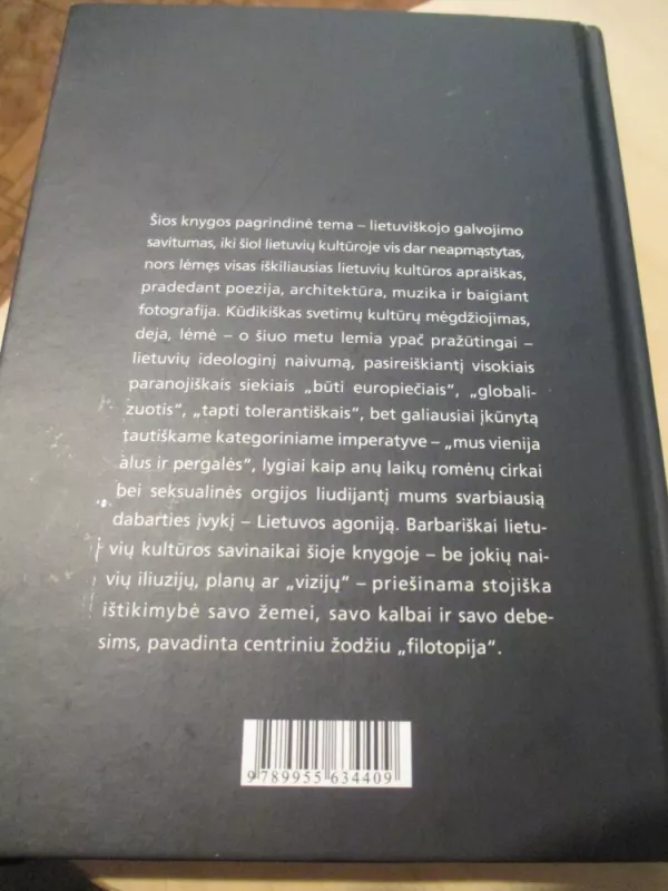 Lietuviškosios paraštės - Arvydas Šliogeris, knyga 4