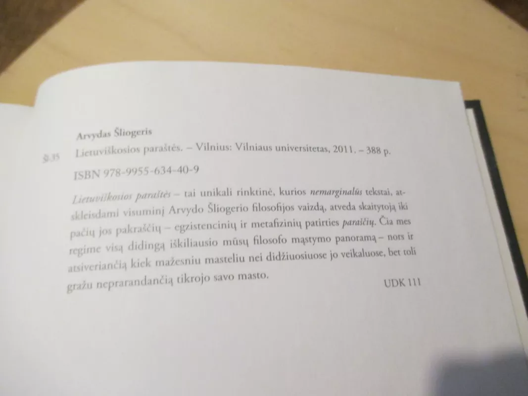 Lietuviškosios paraštės - Arvydas Šliogeris, knyga 6