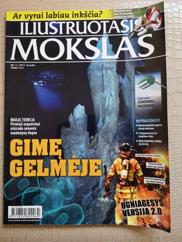 Iliustruotasis mokslas 2013 Gruodis Nr. 11 - Autorių kolektyvas, knyga 2