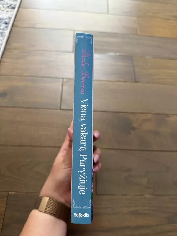 Vieną vakarą Paryžiuje - Nicolas Barreau, knyga 5