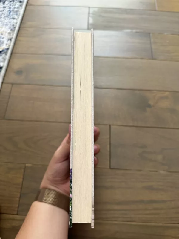 Vieną vakarą Paryžiuje - Nicolas Barreau, knyga 4