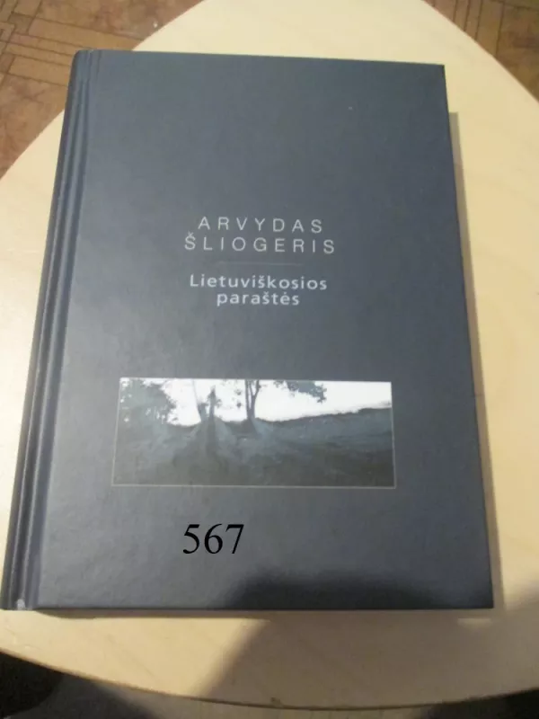 Lietuviškosios paraštės - Arvydas Šliogeris, knyga 2