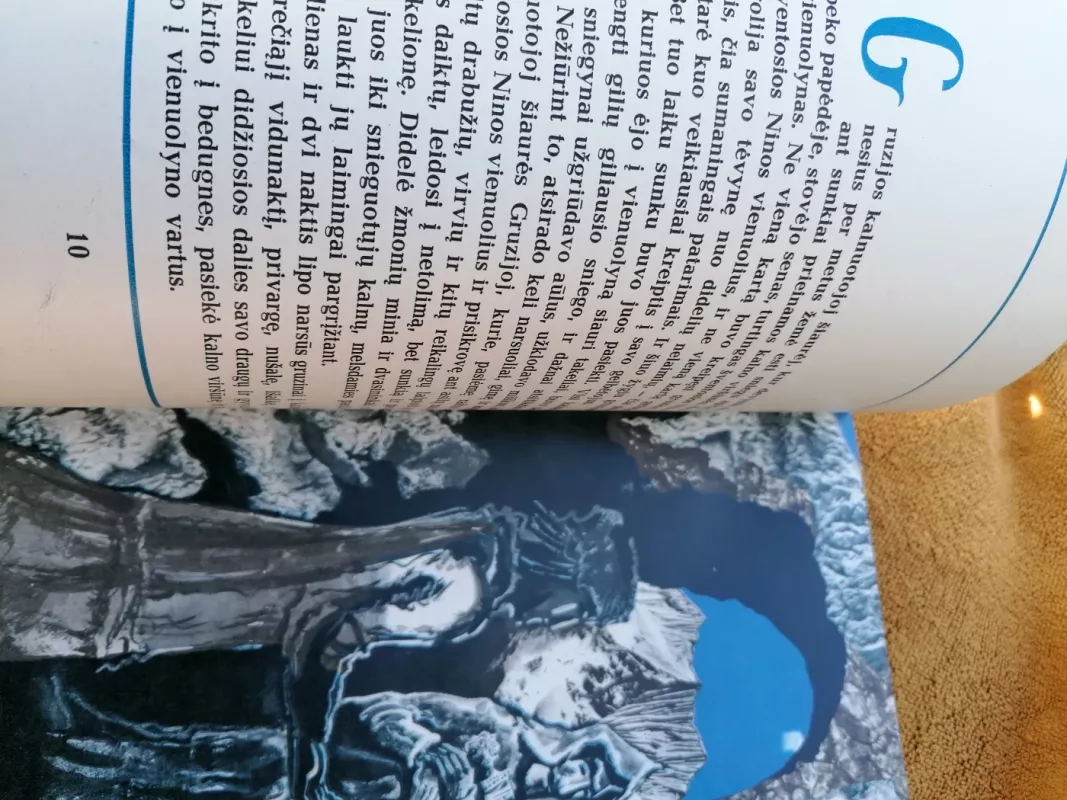 Užkeiktieji vienuoliai - Antanas Vienuolis, knyga 4