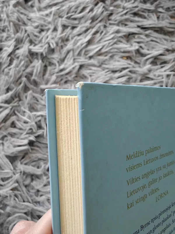 Laiptai į dangų - Lorna Byrne, knyga 3