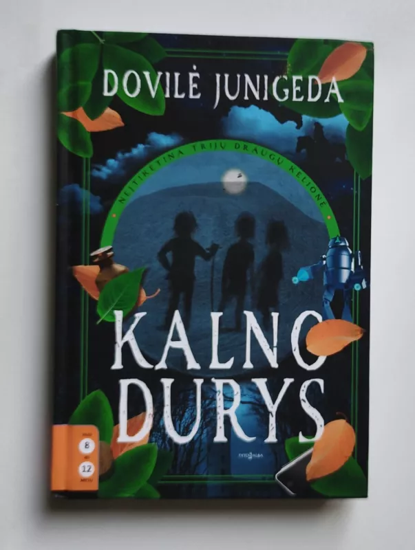 Kalno durys - Dovilė Junigeda, knyga 2