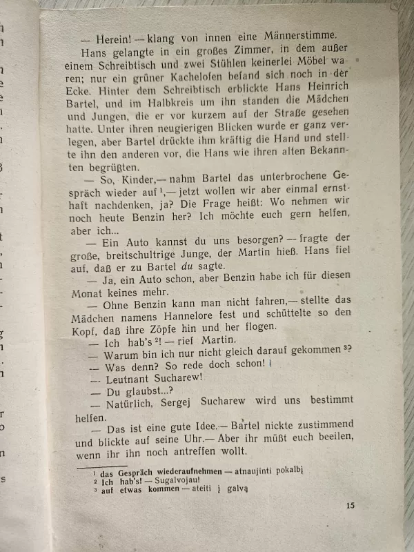 Mein Bruder Hans und seine Freunde - Adolf Görtz, knyga 4