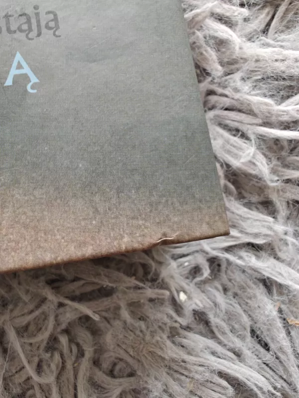 Šiaurės sachara - Rokas Flick, knyga 4