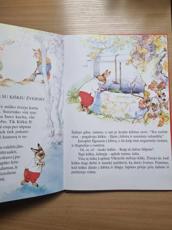 Kiškio ilgaausio nuotykiai - Renata Staneliūnaitė, knyga 3