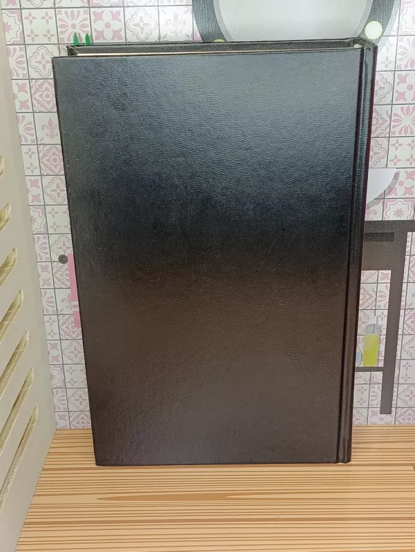 Lietuvių tautos istorija (IV tomas) - Teodoras Narbutas, knyga 3