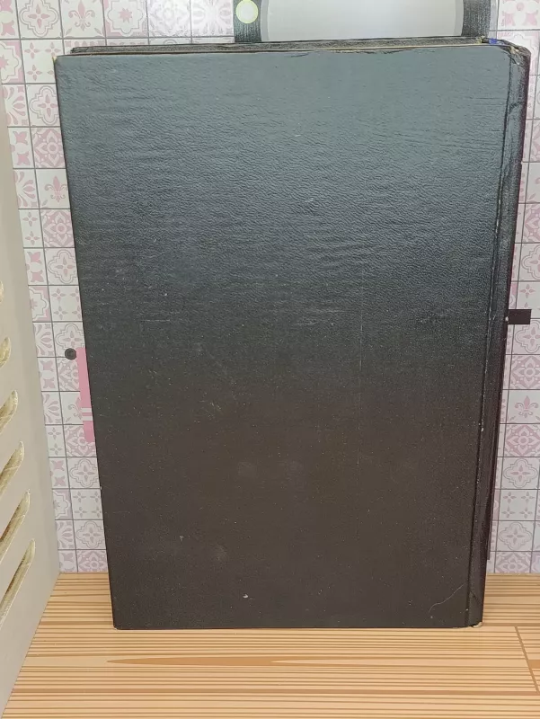 Italų-lietuvių kalbų žodynas - Valdas Petrauskas, knyga 6