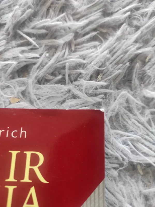 Dailė ir iliuzija - E. H. Gombrich, knyga 3