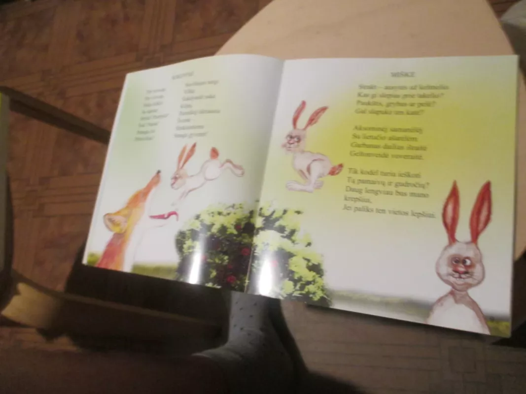 Mergaičių eilėraščiai - Sigitas Renčys, knyga 4