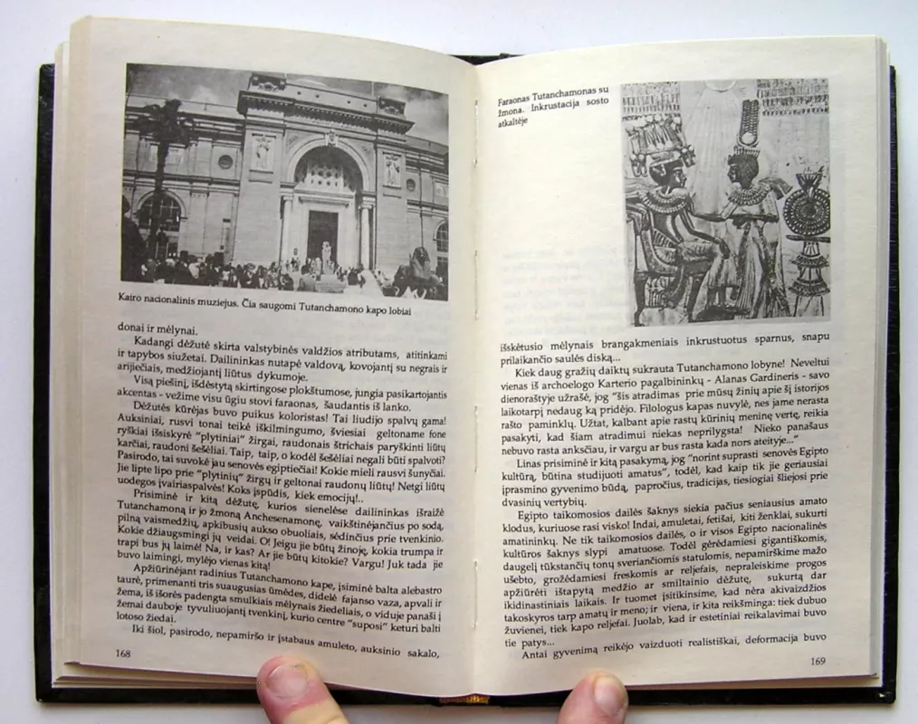 Faraonų pėdsakais - Romualdas Neimantas, knyga 5