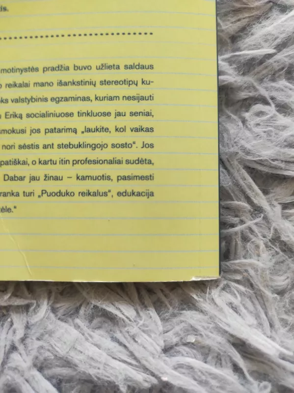 Puoduko reikalai - Erika Žėkaitė - Vaišnienė, knyga 3