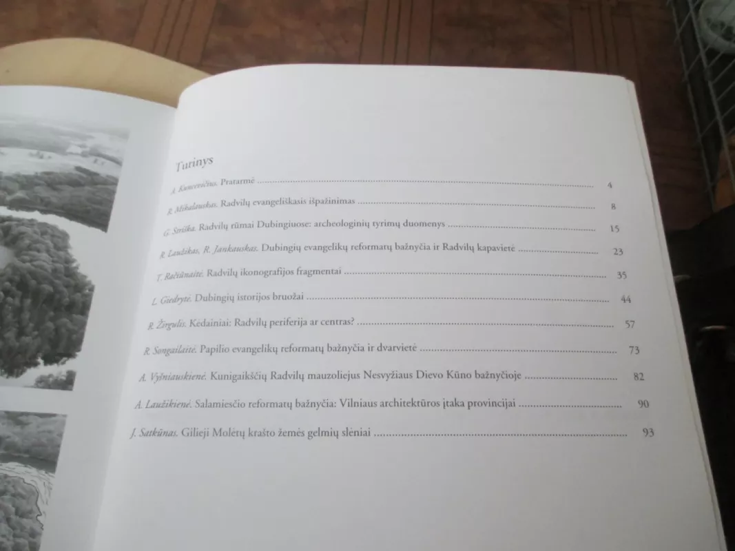 Kunigaikščių Radvilų istorija ir atradimai - Autorių Kolektyvas, knyga 6