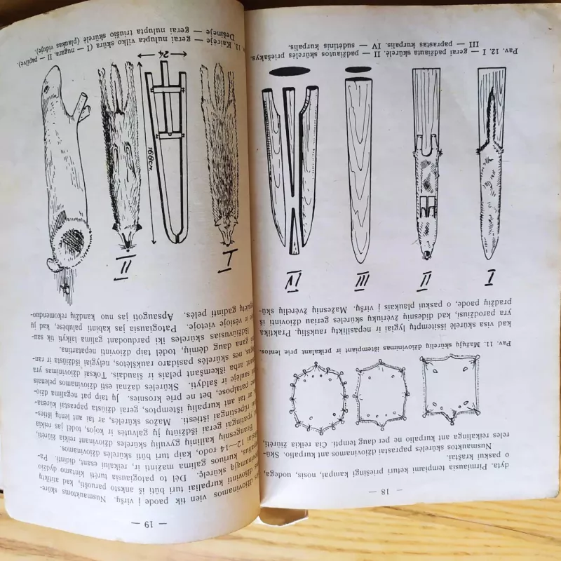 Skūros, kailiai, šeriai, plunksnos ir jų sudorojimas Nr.83 1936 m. / Daržovių valgiai Nr.63-64 1934 m. / Namų ūkio vadovėlis šeimininkėms 1937 m. - AUTORIAI ĮVAIRŪS, knyga 5