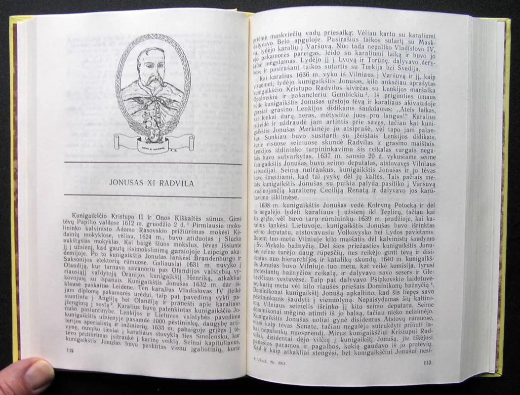 Radvilos - Edvardas Kotlubajus, knyga 4