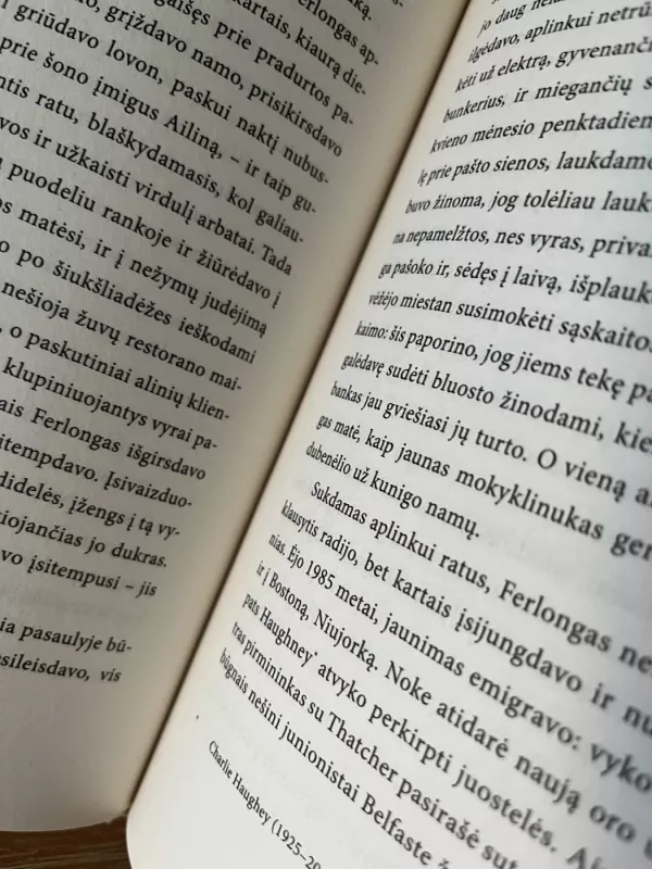 Tokie smulkūs dalykai - Claire Keegan, knyga 3