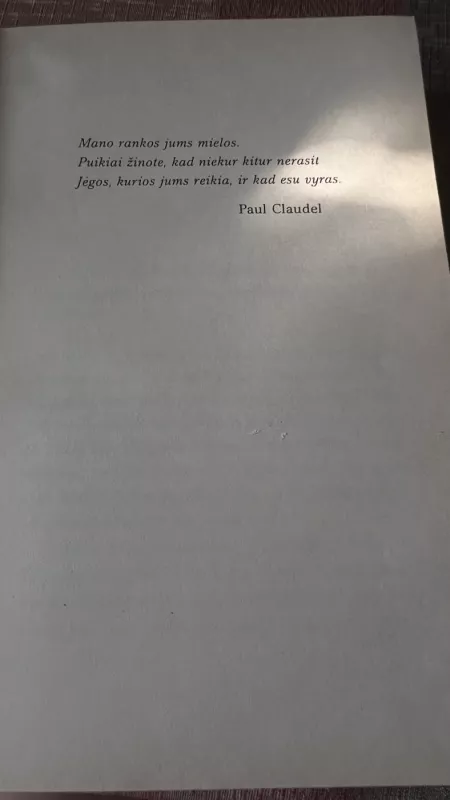 Tame glėbyje - Camille Laurens, knyga 2