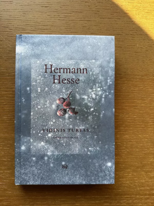 Vidinis turtas - Hermann Hesse, knyga 2