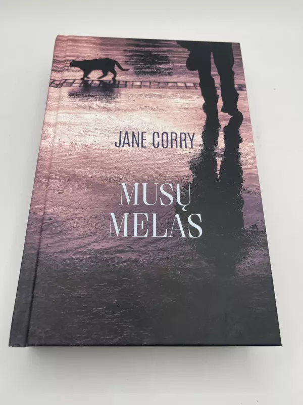 Mūsų melas - Jane Corry, knyga 2
