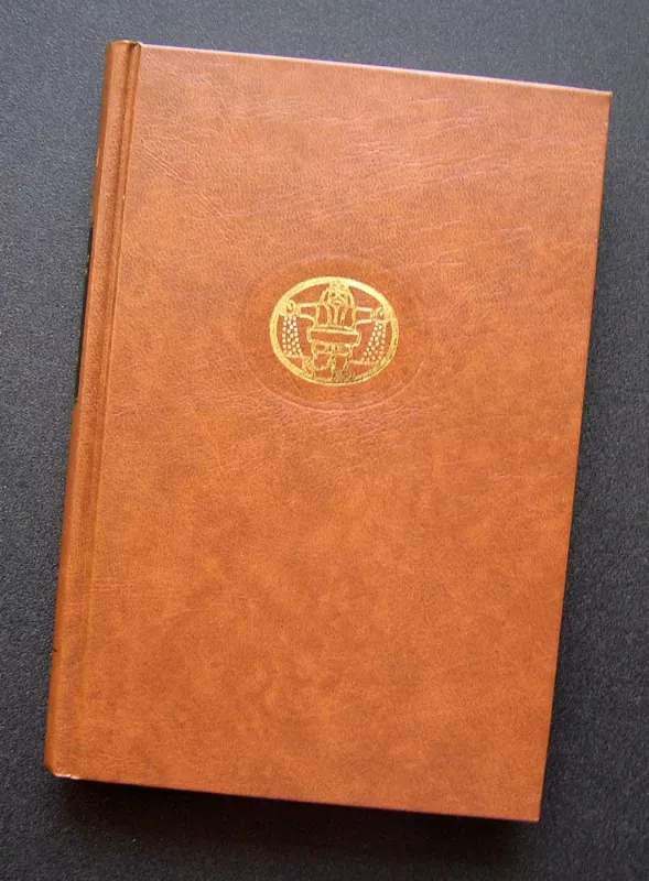 Efė Bryst. Ponia Jėnė Treibel - Theodor Fontane, knyga 3