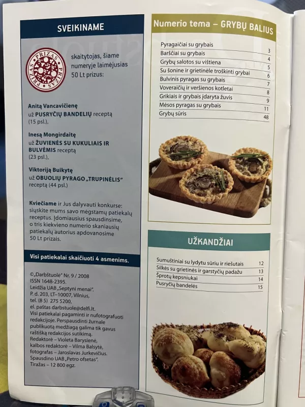 Darbštuolė 2008/9 - Redaktorė Violeta Barysienė, knyga 3